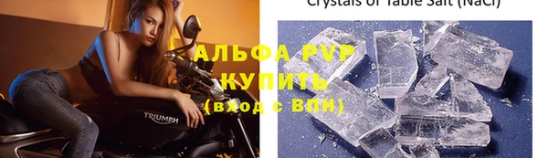 стаф Магас